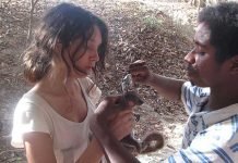 Bolsas de Investigação Optimus Alive