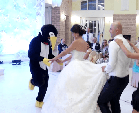 PENGUINE DANCE NOVA MODA VIRAL