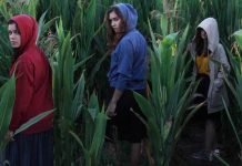 O Teatro da Didascália estreia em novembro o espetáculo PRELÚDIO: a mulher selvagem