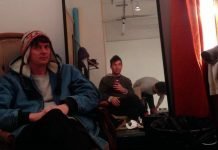 Animal Collective na ZDB