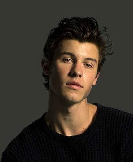 MEGA HITS À PROCURA DO MAIOR FÃ DE SHAWN MENDES