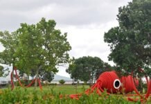 Walk&Talk nos Açores: o festival que deixou de ser evento e passou a moldar a ilha
