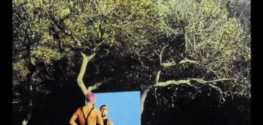 O segundo álbum de António Variações chegou quando ele já estava no hospital
