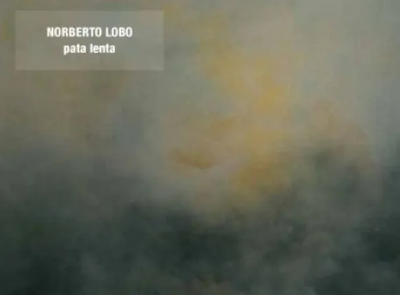 Os 100 Álbuns Portugueses: Norberto Lobo – Pata Lenta (2009)